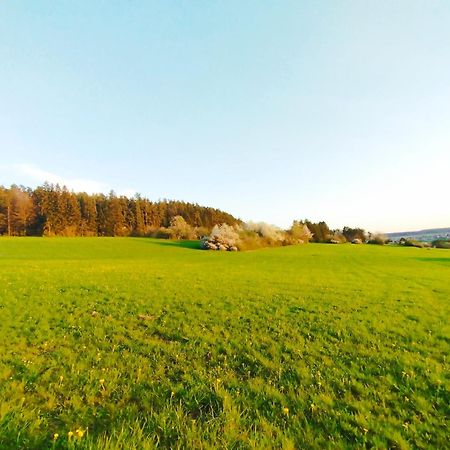 Hochwertige Wohnung Mit Parkplatz Im Schoenen Schwarzwald Altensteig Exterior photo