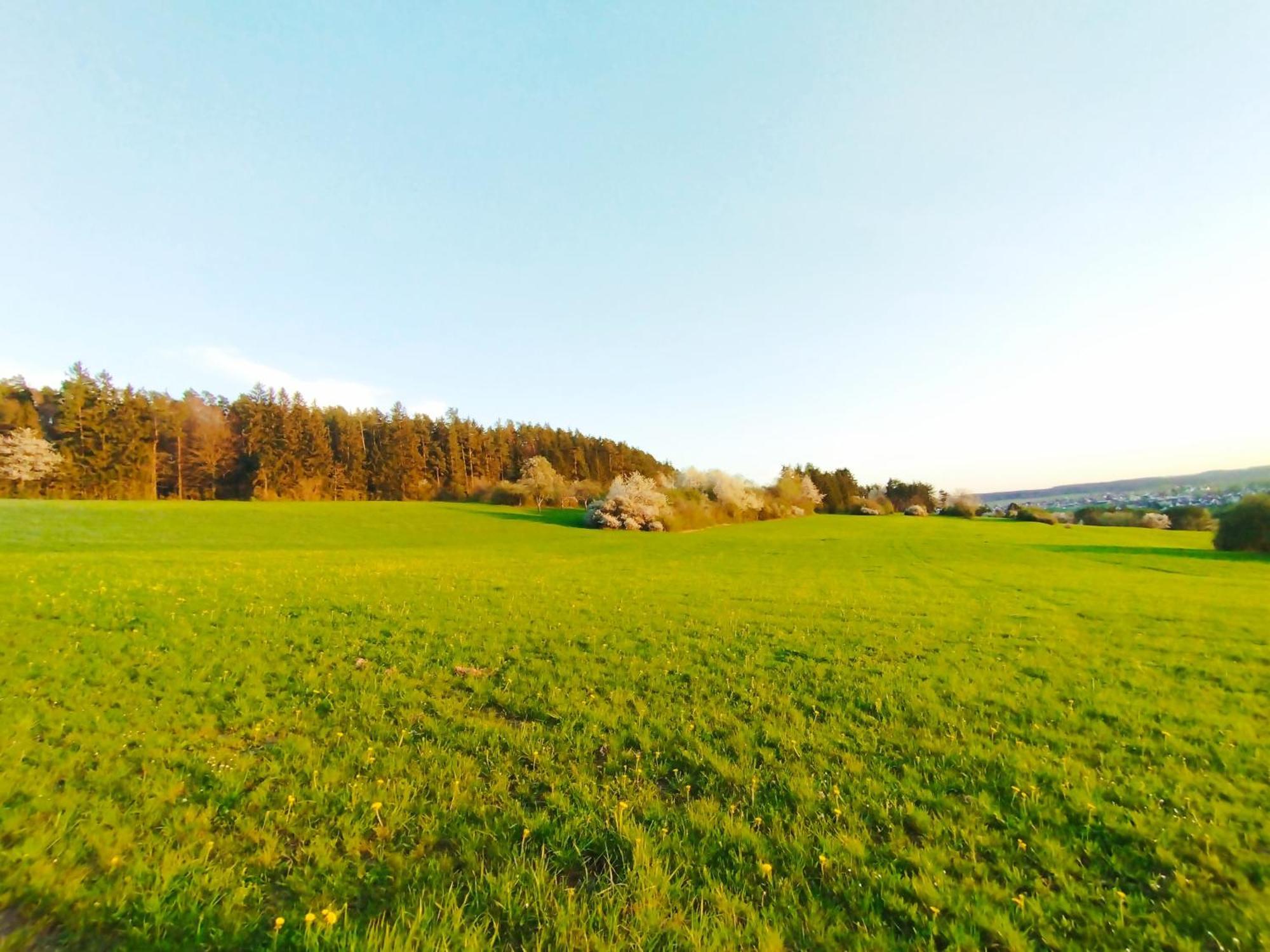 Hochwertige Wohnung Mit Parkplatz Im Schoenen Schwarzwald Altensteig Exterior photo